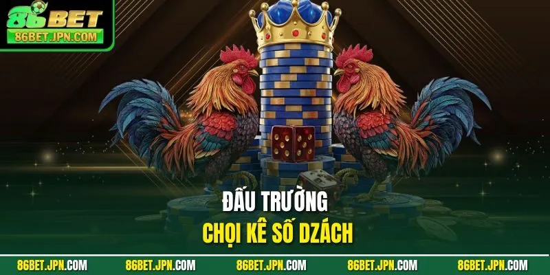 Đấu trường chọi kê số dzách