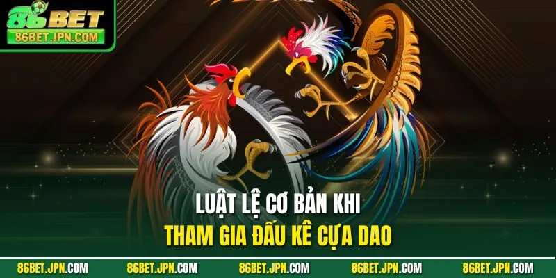 Luật lệ cơ bản khi tham gia đấu kê cựa dao