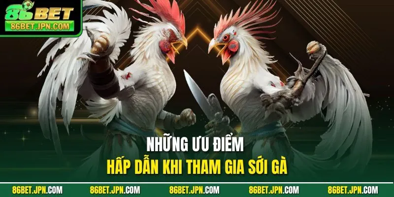 Những ưu điểm hấp dẫn khi tham gia sới gà